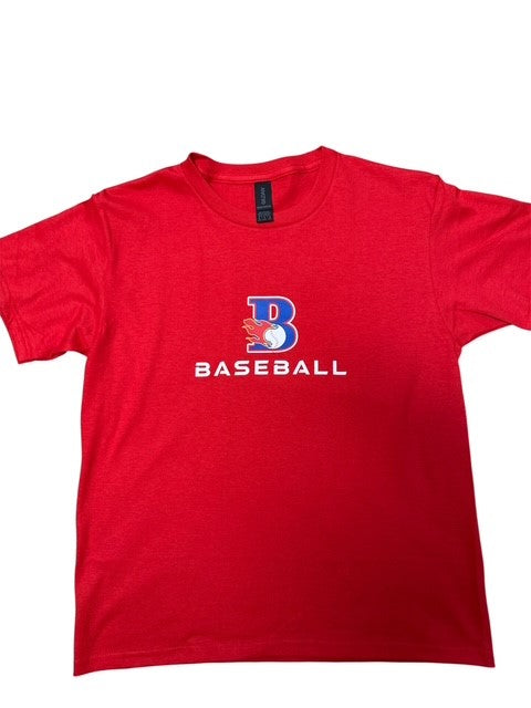 Youth Cotton Tshirt - Blaze Baseball Logo