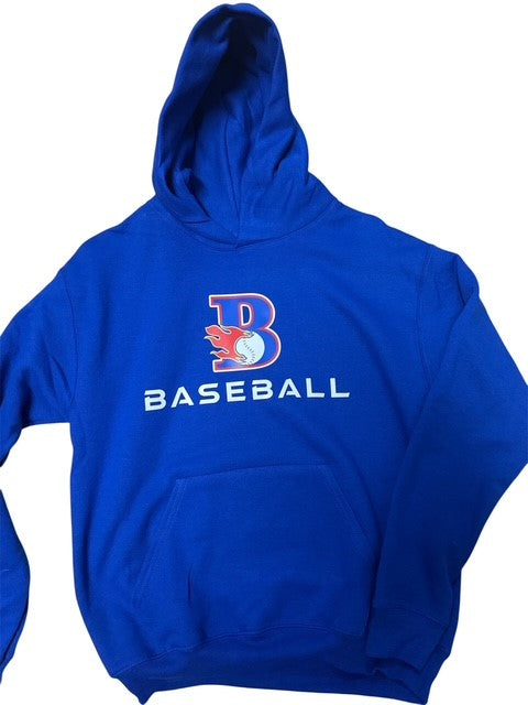 Youth Hanes Hoodie